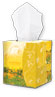 Facial Tissue