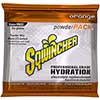 Powder Pack Concentrated Activity Drink, Orange, 23.83 oz. Packet, 32/CT