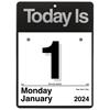 Today Is Wall Calendar, 6 5/8" x 9 1/8", White, 2023