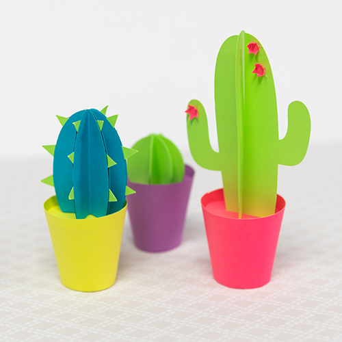 Colorful Paper Cacti