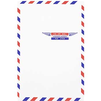 JAM Paper Open End Catalog Airmail Envelopes, 6&quot; x 9&quot;, White, 100/BX