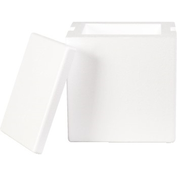 W.B. Mason Co. Insulated Foam Containers, 8&quot; x 6&quot; x 9&quot;, White, 8/CS