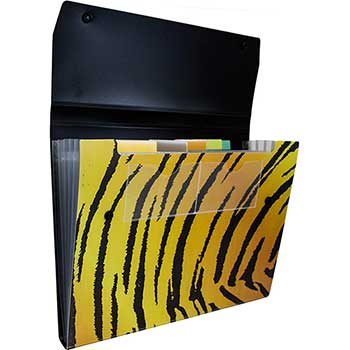 JAM Paper 6 Pocket Plastic Expanding File with Snap Closure, 9&quot; x 13&quot;, Tigerstripe