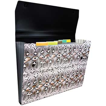 JAM Paper 6 Pocket Plastic Expanding File with Snap Closure, 9&quot; x 13&quot;, Snakeskin