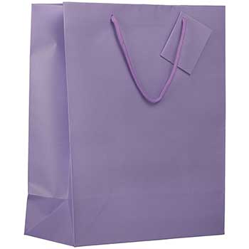 JAM Paper Matte Gift Bag with Rope Handles, 10&quot; x 13&quot; x 5&quot;, Lilac