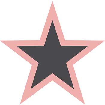 Auto Supplies Window Sticker, Star, Pink &amp; Black, 5&quot;, 12/PK