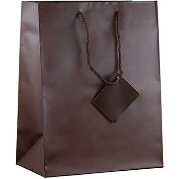 JAM Paper Matte Gift Bag with Rope Handles, 10&quot; x 13&quot; x 5&quot;, Chocolate Brown