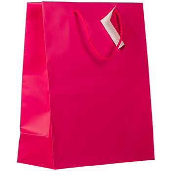 JAM Paper Matte Gift Bag with Rope Handles, 10&quot; x 13&quot; x 5&quot;, Hot Pink