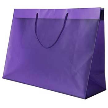 JAM Paper Shopping Bag, 15&quot; x 12&quot; x 6&quot;, Violet