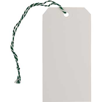 JAM Paper Gift Tags with String, 4 3/4&quot; x 2 3/8&quot;, White and Green, 10/PK