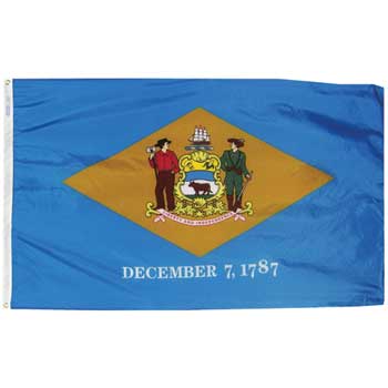 Annin Flags Delaware State Flag, Outdoor, 3&#39; x 5&#39;