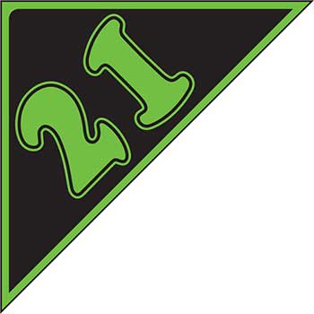 Auto Supplies Year Angle Sticker, 2021, Green/Black, 12/PK