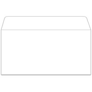 Auto Supplies License Plate Envelope, Moist &amp; Seal, White, 100/BX