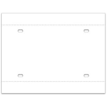 Auto Supplies Temporary Tag, Synthetic Paper, 8 mil., Middle, 100/BX