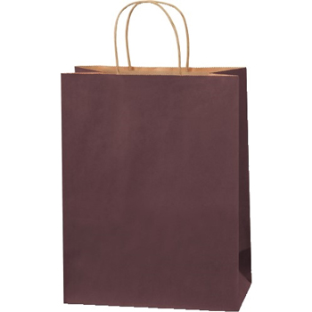 W.B. Mason Co. Tinted Shopping Bags, 10&quot; x 5&quot; x 13&quot;, Brown, 250/CS