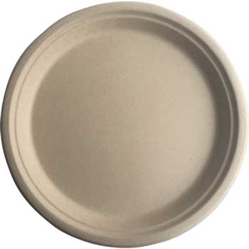 Better Earth™ Eco-Bamboo Plate, 10&quot;, 500/CT