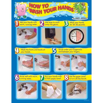 Carson-Dellosa Publishing How To Wash Your Hands