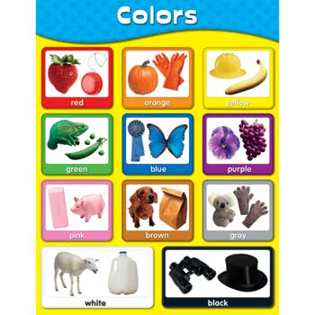 Carson-Dellosa Publishing Chartlets Colors