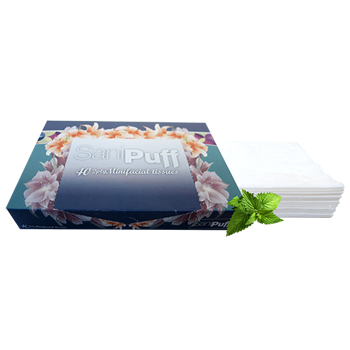 SaniPuff 2-Ply Mini Facial Tissues, 40 Tissues/Box, 200 Boxes/Carton