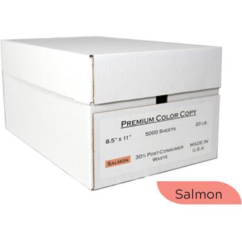 American Eagle Paper Colored Paper, 20 lb, 8.5&quot; x 11&quot;, Salmon, 500 Sheets/Ream, 10 Reams/Carton