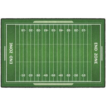 Flagship Carpets Football Field Activity Rug, 40&quot; x 60&quot;, Multi-Colored