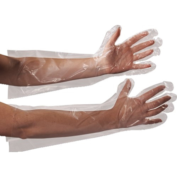 W.B. Mason Co. Poly Gloves, Elbow Length, 18&quot;, Clear, 250/CS