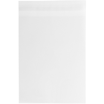 JAM Paper Self-Adhesive Cello Sleeve Envelopes, 10&quot; x 13&quot;, Clear, 100/PK