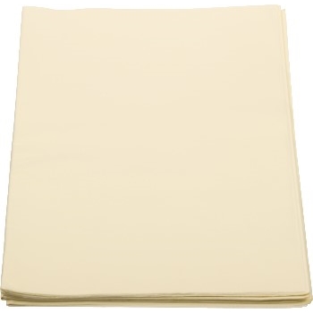 JAM Paper Tissue Paper, Gift Grade, 20&quot; x 30&quot;, Ivory, 480/CS