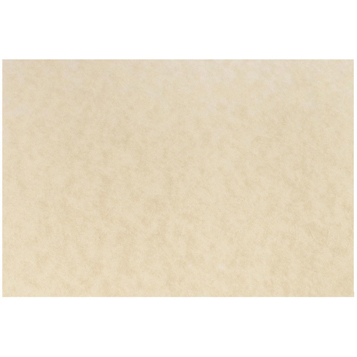 JAM Paper Blank Flat Note Cards, Parchment, 4.63&quot; x 6.25&quot;, Natural, 25 Cards/Pack