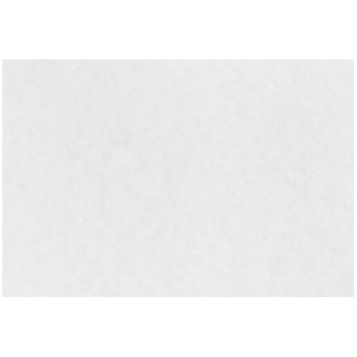JAM Paper Blank Flat Note Cards, Parchment, 4.63&quot; x 6.25&quot;, White, 25 Cards/Pack