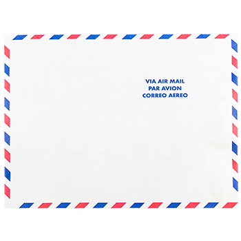JAM Paper Tyvek Tear-Proof Open-End Catalog Envelopes, 10&quot; x 13&quot;, White Airmail, 25/PK