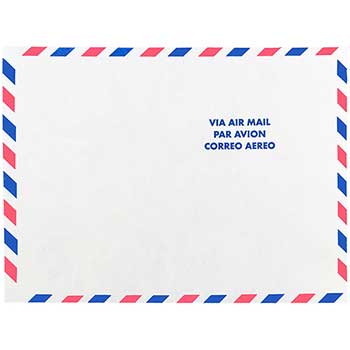 JAM Paper Tyvek Tear-Proof Open End Catalog Envelopes, 9&quot; x 12&quot;, White Airmail, 10/PK