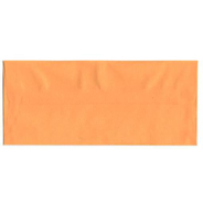 JAM Paper #10 Business Translucent Vellum Envelopes, 4 1/8&quot; x 9 1/2&quot;, Peach Virtual Candy, 25/PK