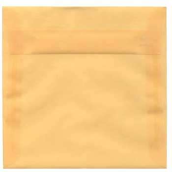 JAM Paper Translucent Vellum Envelopes, 6 1/2&quot; x 6 1/2&quot;, Peach, 100/BX
