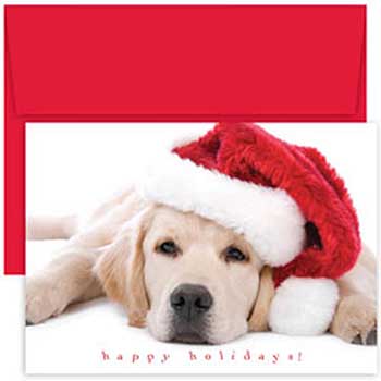 JAM Paper Holiday Cards Set with Envelopes, Peace and Joy Santa Puppy, 18 Card Set