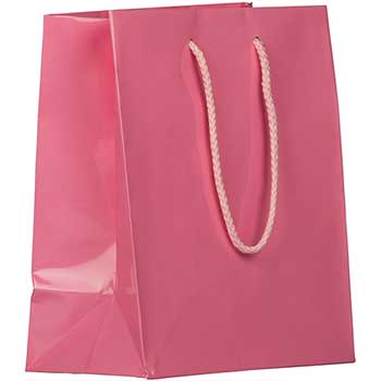 JAM Paper Glossy Gift Bags with Rope Handles, 8&quot; x 4&quot; x 10&quot;, Pink, 6/PK