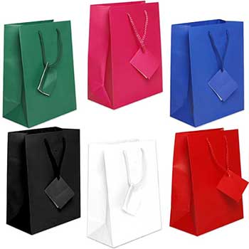 JAM Paper Assorted Medium Matte Gift Bags with Rope Handles and Attached Gift Tags, Red, Blue, Green, Pink, Black, &amp; White, 6/PK