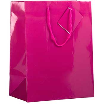 JAM Paper Glossy Gift Bags with Rope Handles, 10&quot; x 5&quot; x 13&quot;, Hot Pink, 6/PK