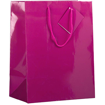 JAM Paper Glossy Gift Bag, 10&quot; x 5&quot; x 13&quot;, Hot Pink