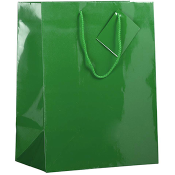 JAM Paper Glossy Gift Bags, 10&quot; x 5&quot; x 13&quot;, Green, 6/PK