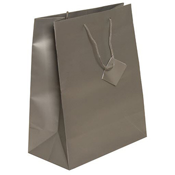 JAM Paper Gift Bag, 10&quot; x 5&quot; x 13&quot;, Silver Matte