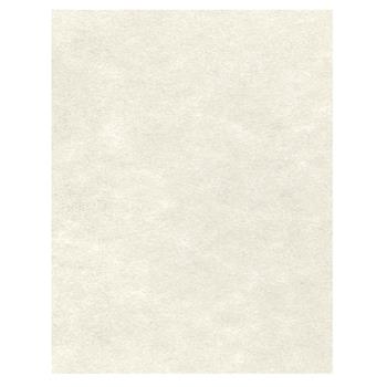 JAM Paper Paper, 24 lb, 8.5&quot; x 11&quot;, Cream Parchment, 500 Sheets/Pack