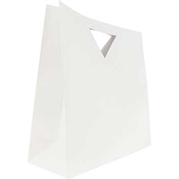 JAM Paper Recycled Heavy-Duty Die Cut Bags, 15&quot; x 15&quot; x 5 1/2&quot;, White, 3/PK