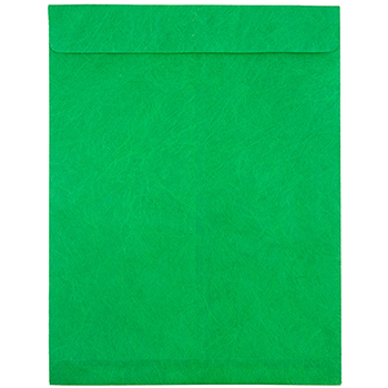 JAM Paper Tyvek Tear-Proof Open End Catalog Envelopes, 10&quot; x 13&quot;, Green, 10/PK