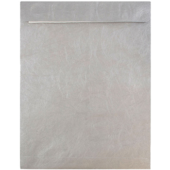 JAM Paper Tyvek Tear-Proof Open End Catalog Envelopes, 10&quot; x 13&quot;, Silver, 10/PK