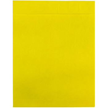JAM Paper Tyvek Tear-Proof Open End Catalog Envelopes, 10&quot; x 13&quot;, Yellow, 10/PK