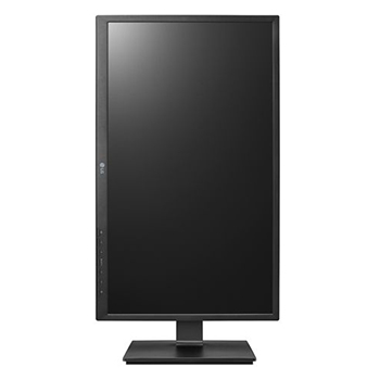LG 24CK550W All-in-One 23.8&quot; Thin Client Monitor