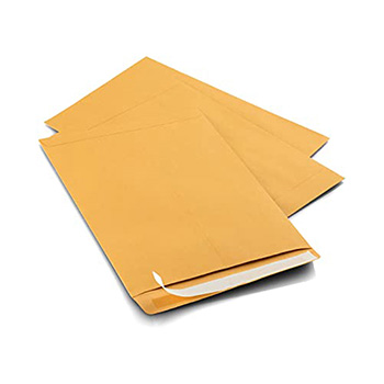 Lindenmeyr Envelopes, 9&quot; x 11&quot;, 28 lb., 500/ST