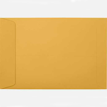 Lindenmeyr Catalog Envelope, 6 x 9, Brown Kraft, 500/CT