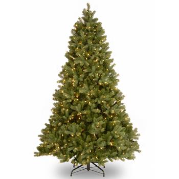 National Tree Company 6.5&#39; Feel Real Downswept Douglas Fir Hinged Tree with Clear Lights, Plug-In, 49&quot; dia